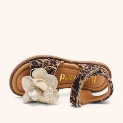 agnes leopard