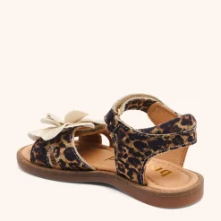 agnes leopard