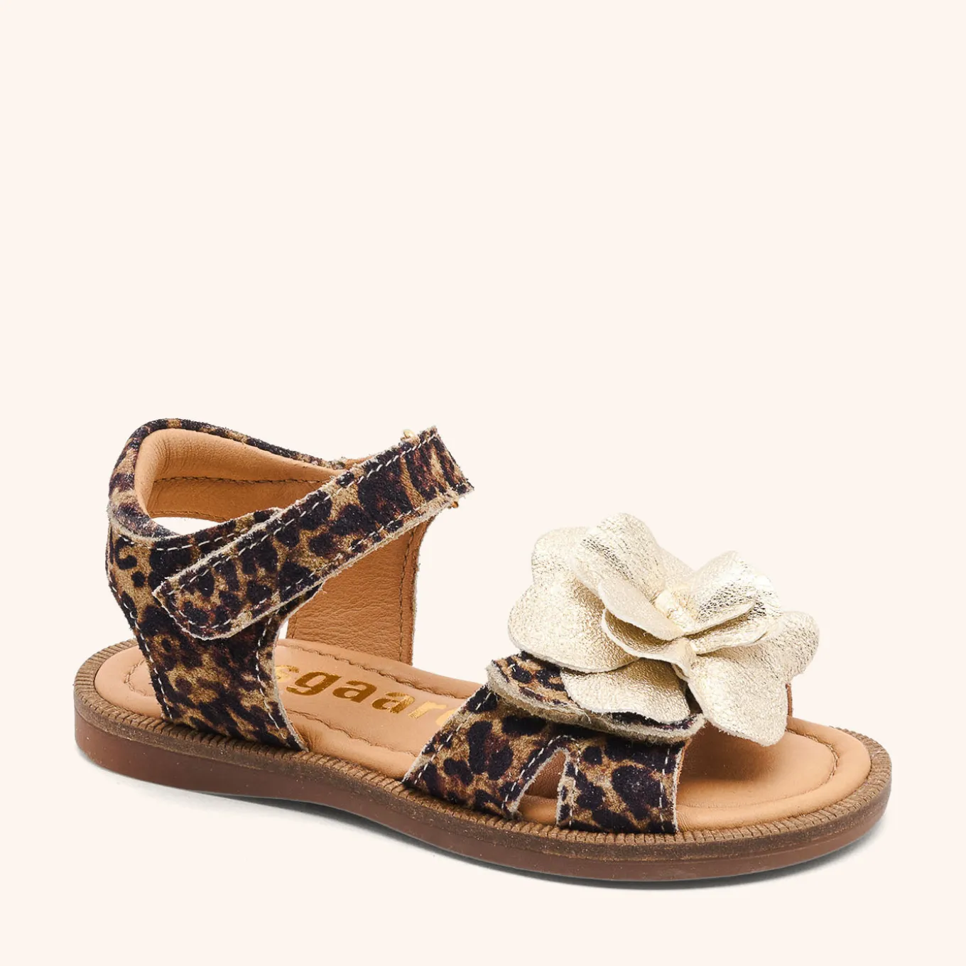 agnes leopard