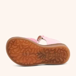 aida pink