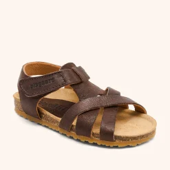 aiden dark brown