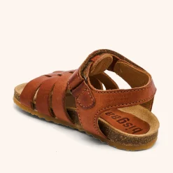 aksel cognac