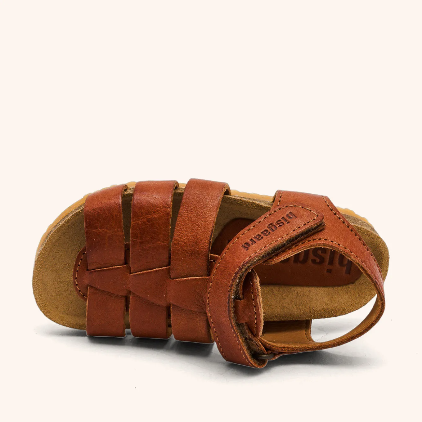 aksel cognac