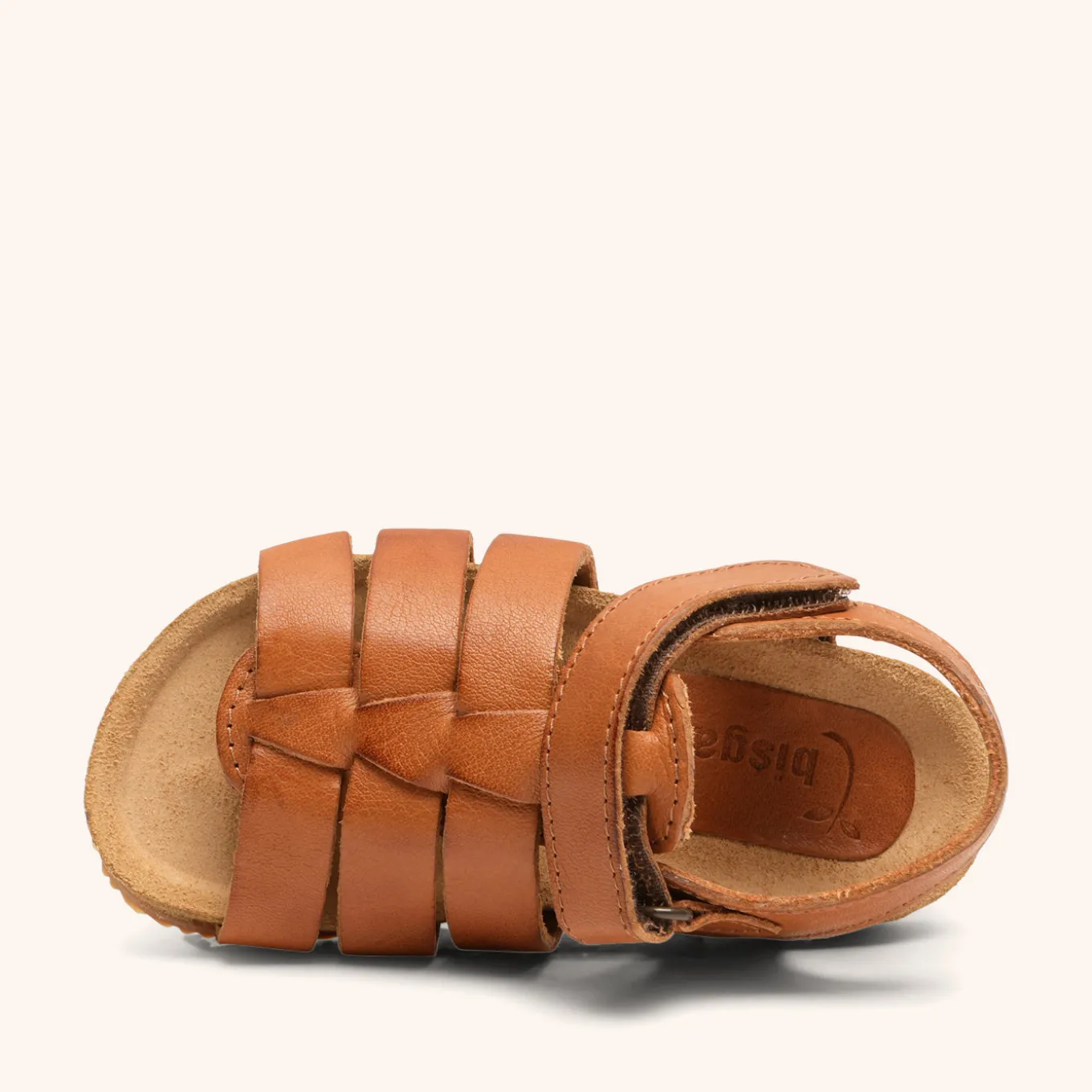 aksel cognac