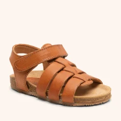 aksel cognac