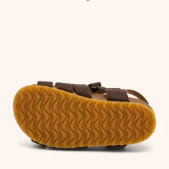 aksel dark brown