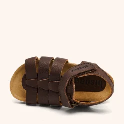 aksel dark brown
