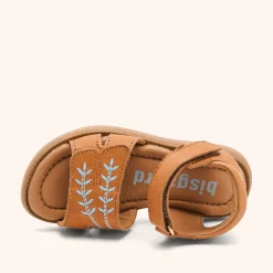 alexa cognac
