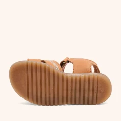 alexa cognac