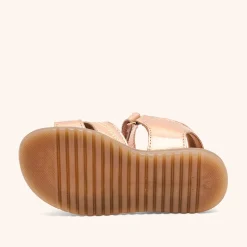 alexa rose metallic