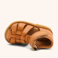 ami cognac