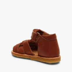 ami cognac