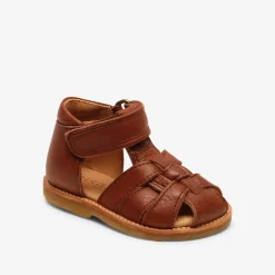 ami cognac