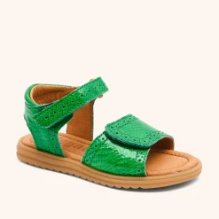 andrea green croco