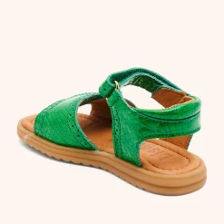 andrea green croco
