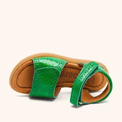 andrea green croco
