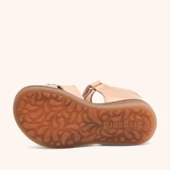 barbara rose metallic