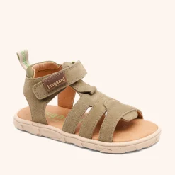 barefoot atlas sage