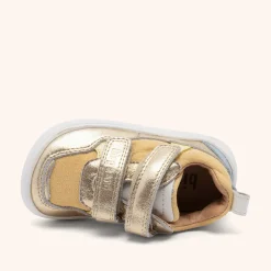 barefoot elroy gold