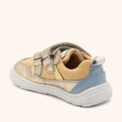 barefoot elroy gold