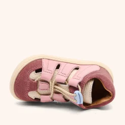 barefoot fletcher rose