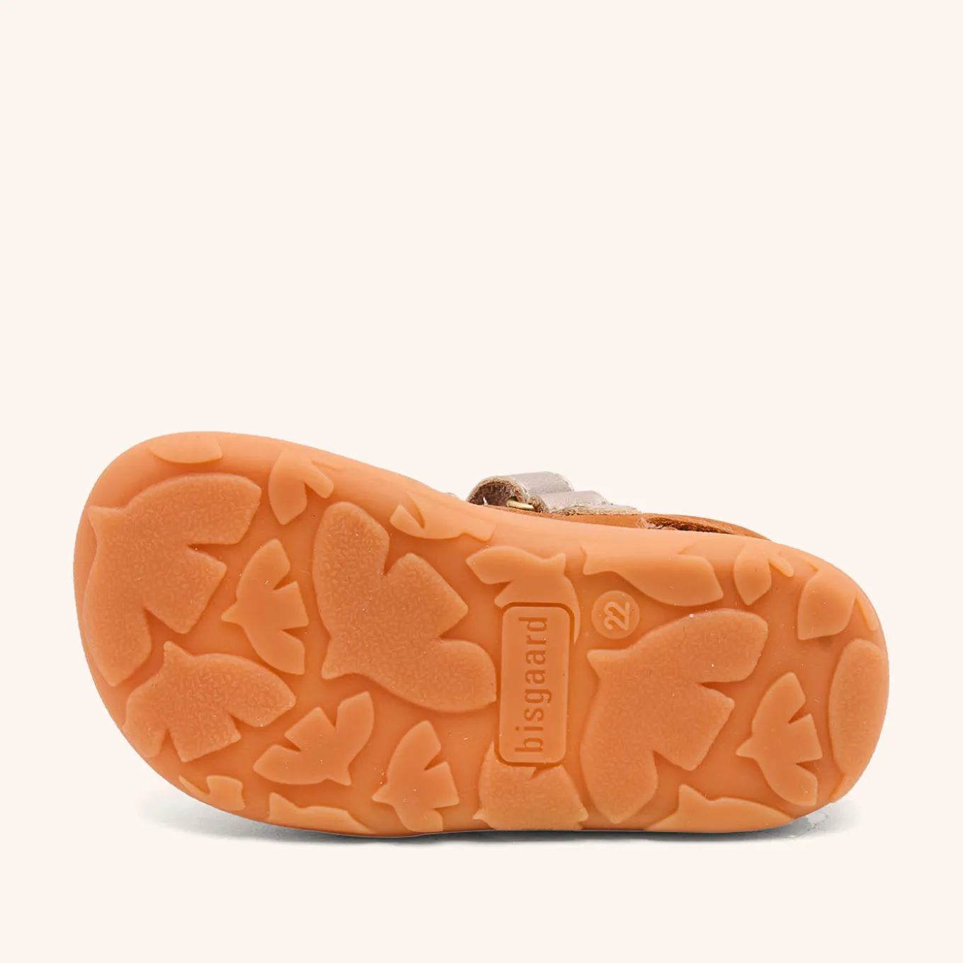 barefoot michi cacao