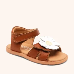 barefoot oya cognac