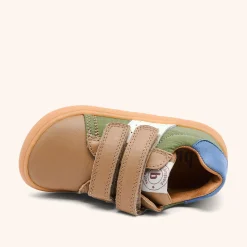 barefoot ricco sage