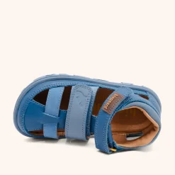 barefoot vic blue