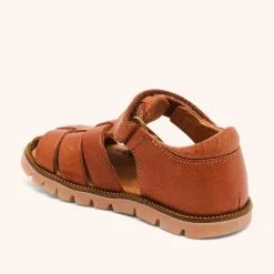 beka cognac