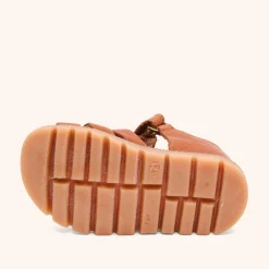 beka cognac