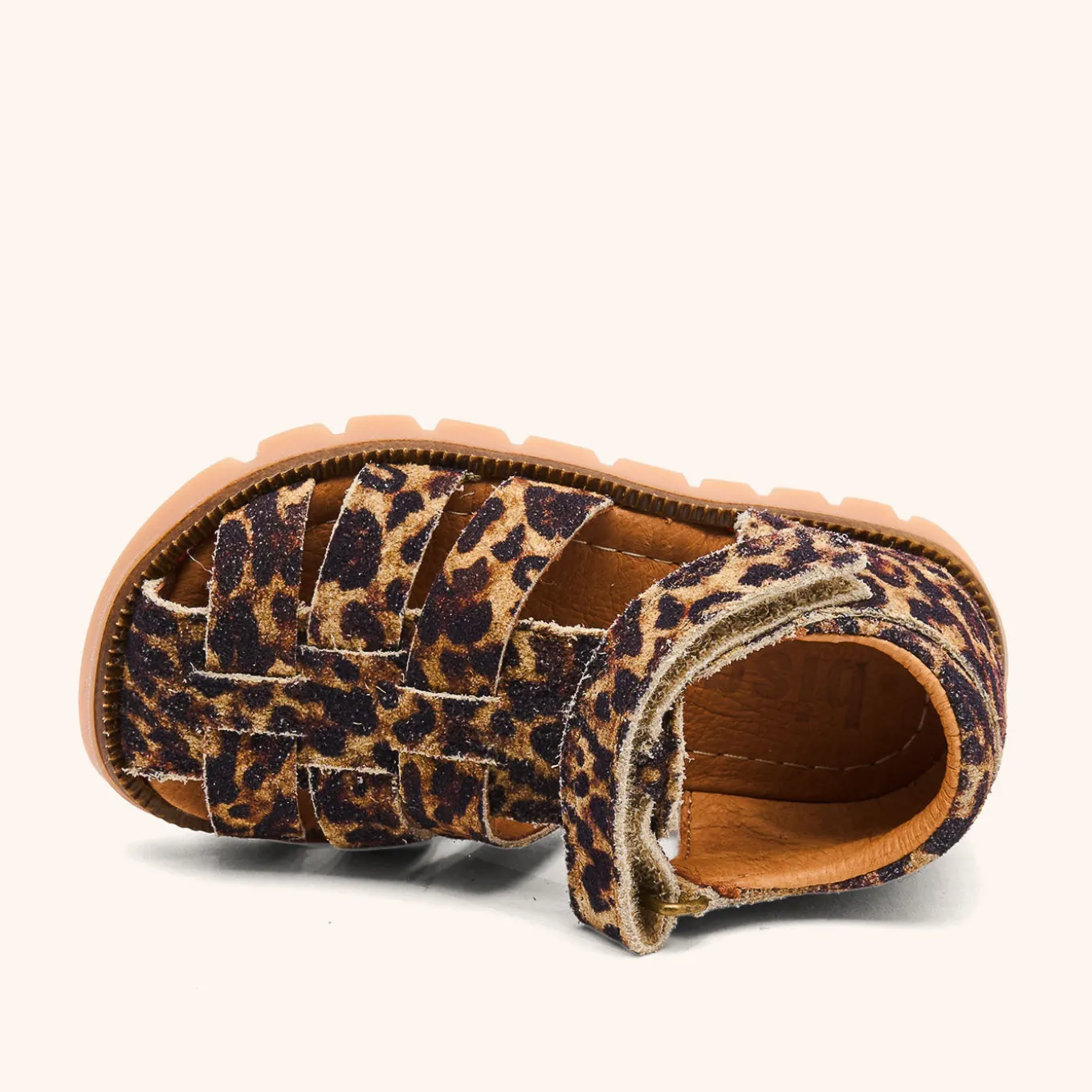 beka leopard