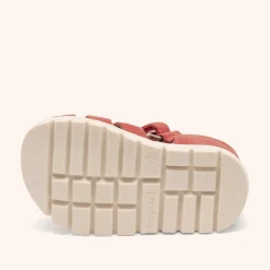 beka s red apple