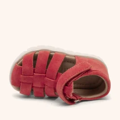 beka s red apple