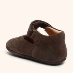 bloom dark brown