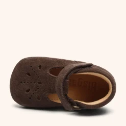 bloom dark brown