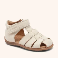 carly linen