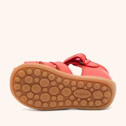 carly red apple