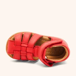 carly red apple