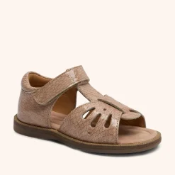 cassidy c camel croco