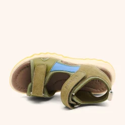 coco olive