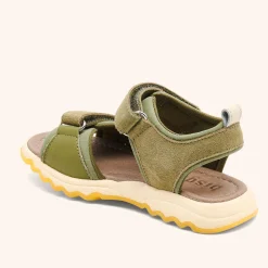 coco olive