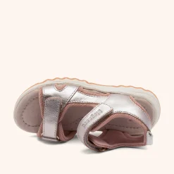 coco rose gold