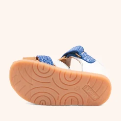 ecobirdy x barefoot cooper coastal