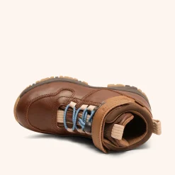 halle tex brown