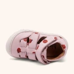 hana lady bugs