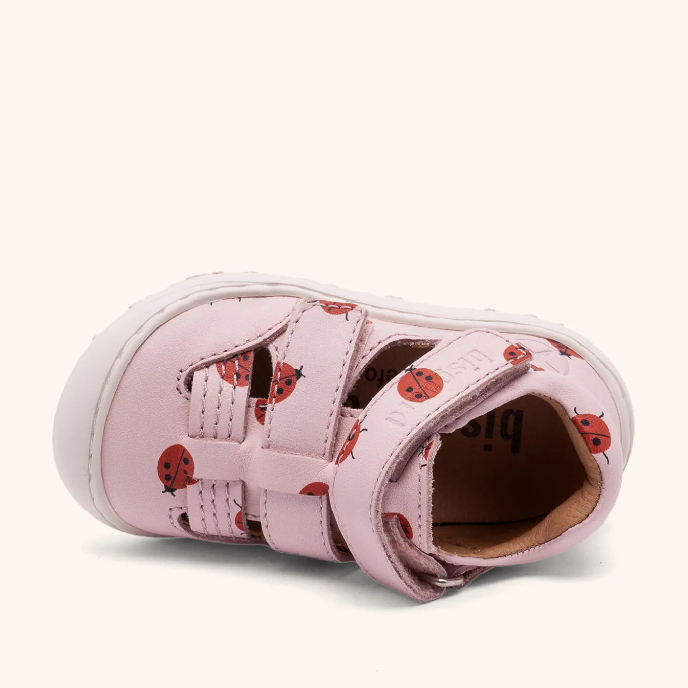 hana lady bugs