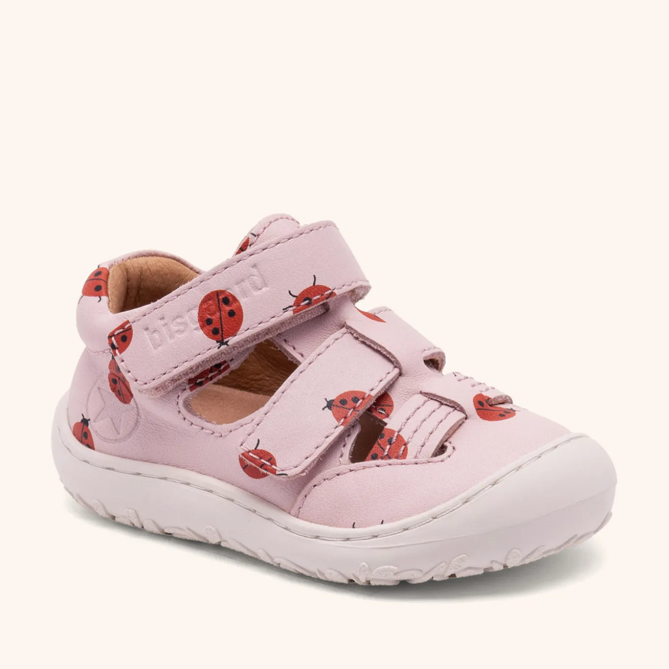 hana lady bugs