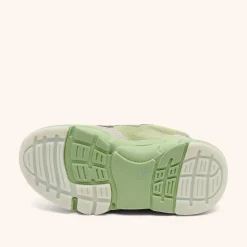 herle tex sage