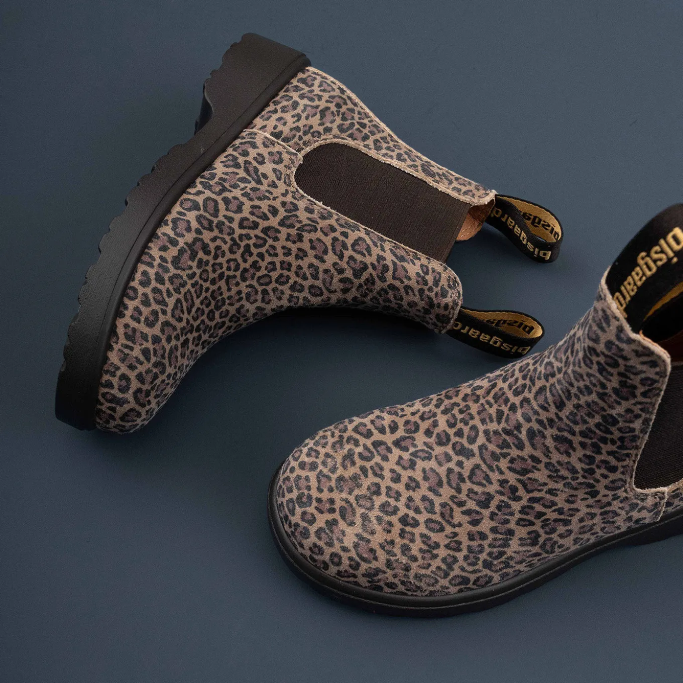 kim leopard